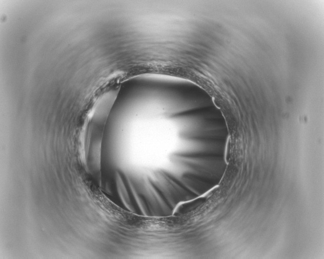 X0000088890750200706221839