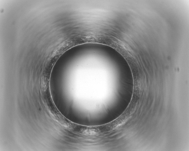 X0000088890751200706221839