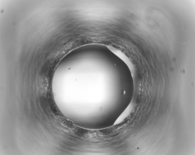 X0000088890752200706221839