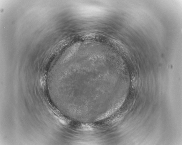 X0000088890753200706221839