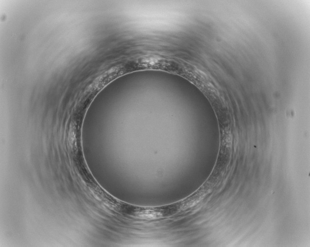 X0000088890754200706221839