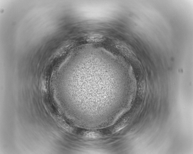 X0000088890755200706221839