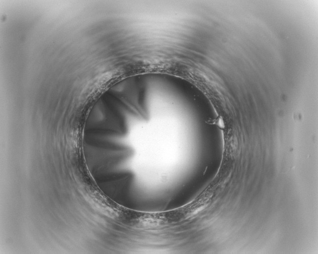 X0000088890756200706221839