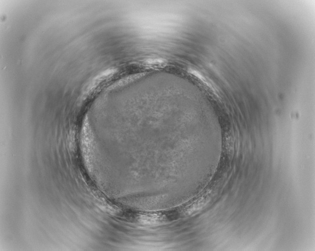 X0000088890757200706221839