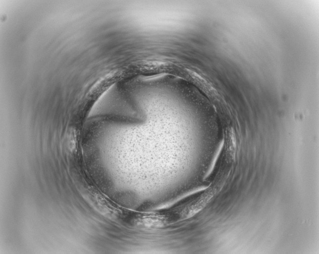 X0000088890758200706221839