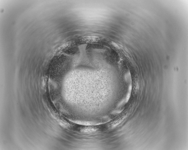 X0000088890759200706221840