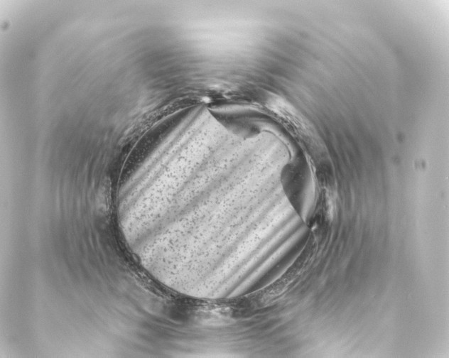 X0000088890760200706221840