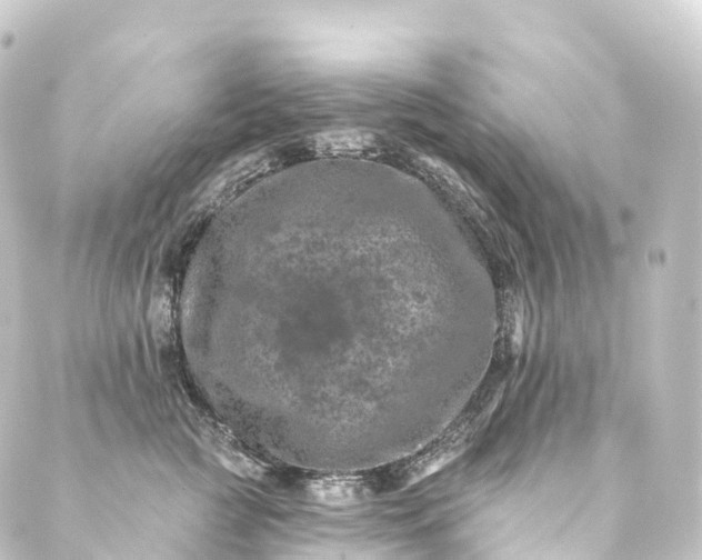 X0000088890761200706221840