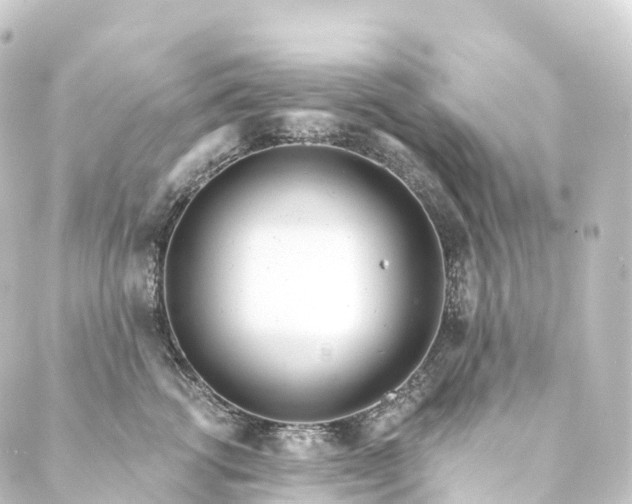 X0000088890762200706221840