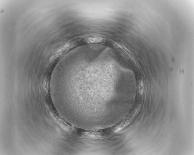 X0000088890763200706221840