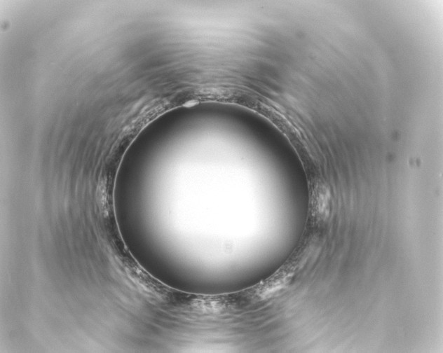 X0000088890764200706221840