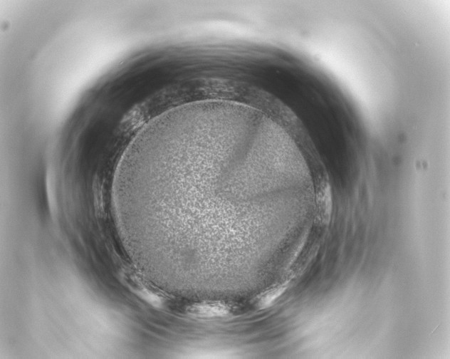 X0000088890765200706221840