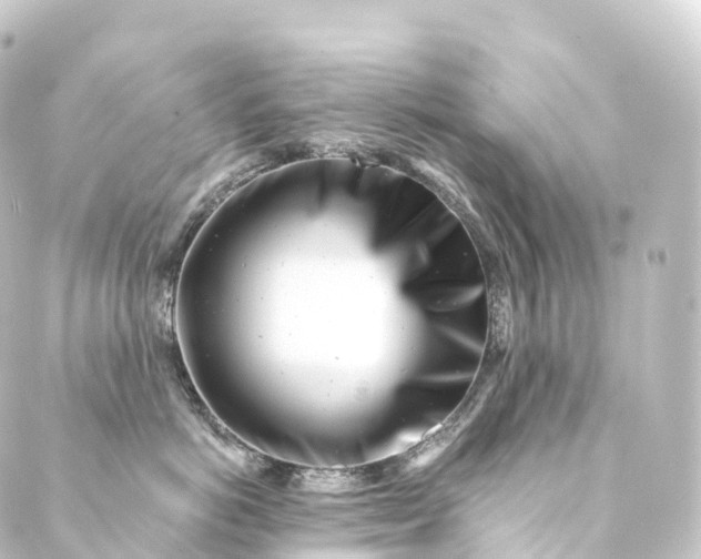 X0000088890766200706221840