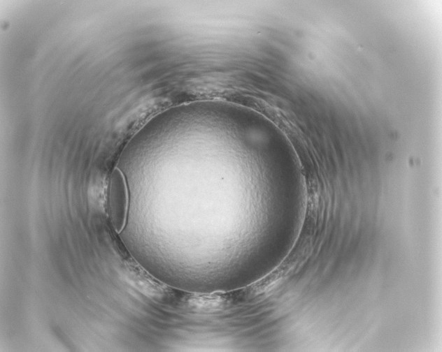 X0000088890767200706221840