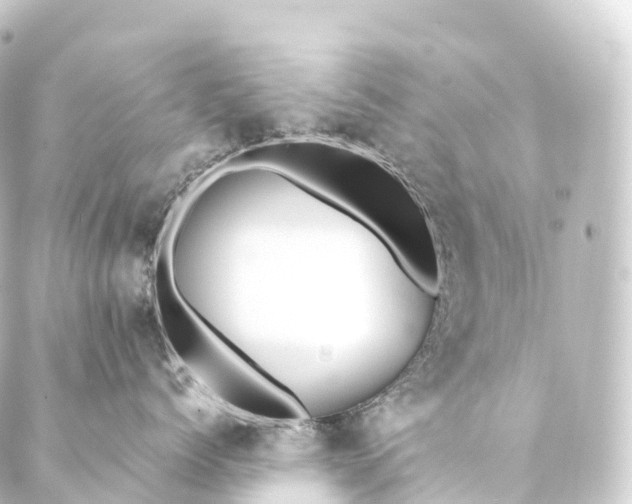 X0000088890768200706221840