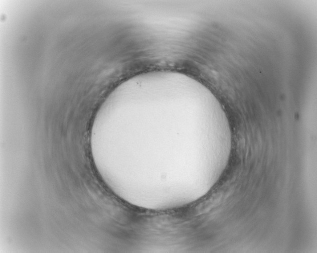 X0000088890769200706221839