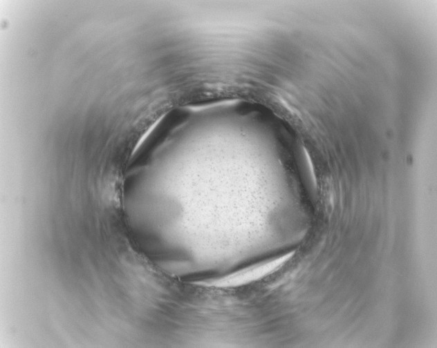 X0000088890770200706221839