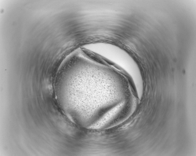 X0000088890771200706221839