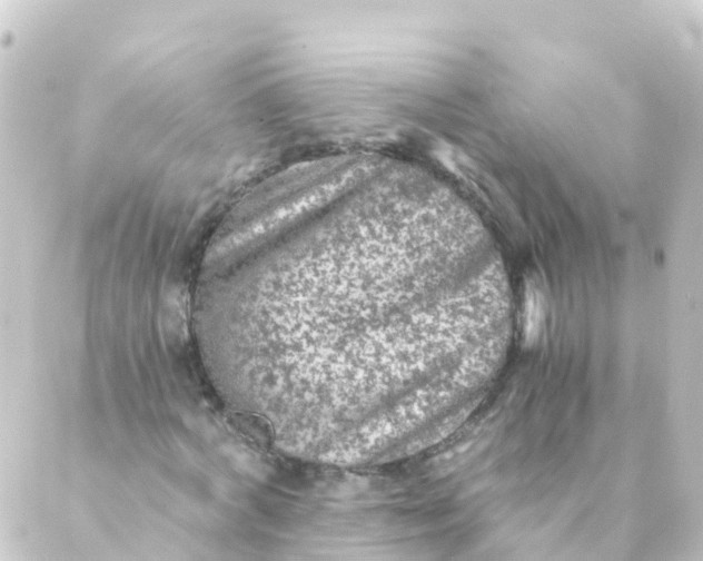 X0000088890772200706221839