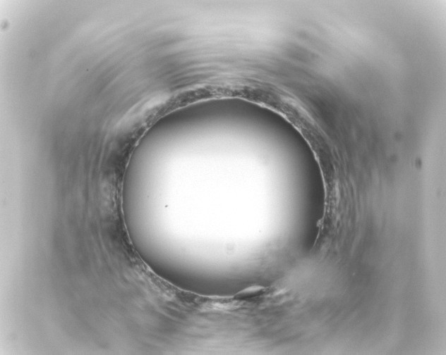 X0000088890773200706221839