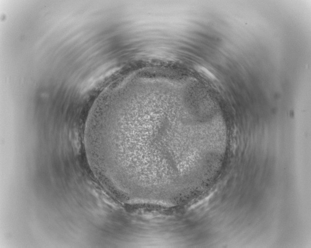 X0000088890774200706221839