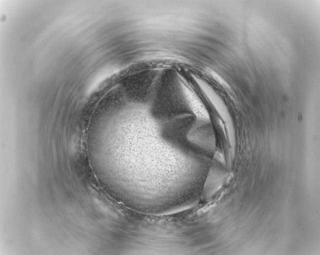 X0000088890775200706221839