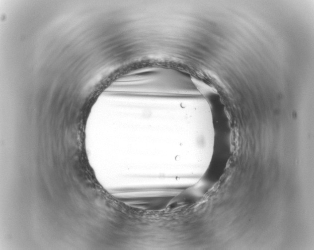 X0000088890776200706221839