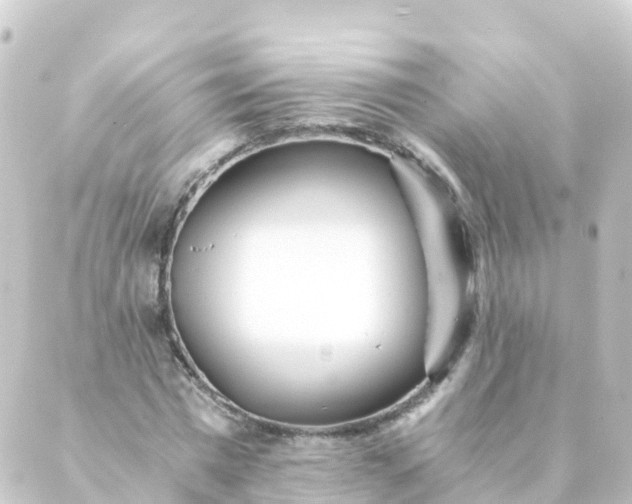 X0000088890777200706221839