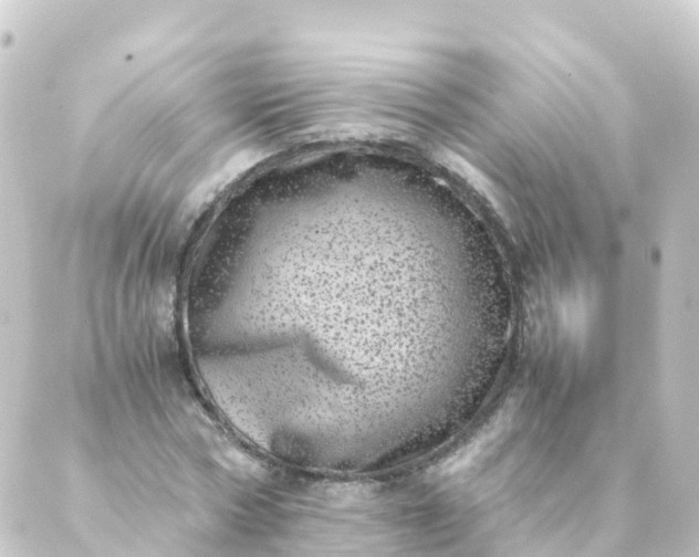 X0000088890778200706221839