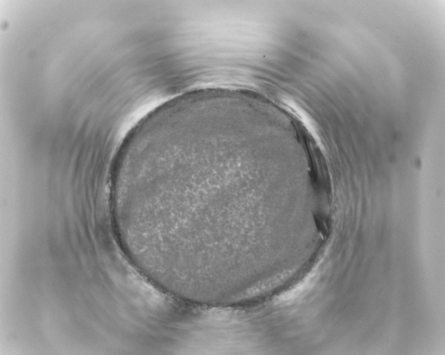 X0000088890779200706221839