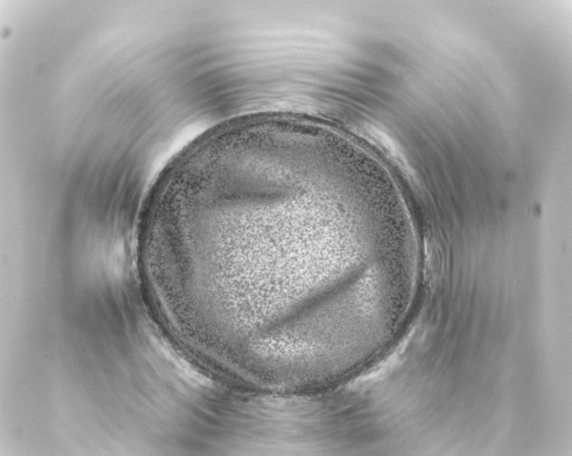 X0000088890780200706221839