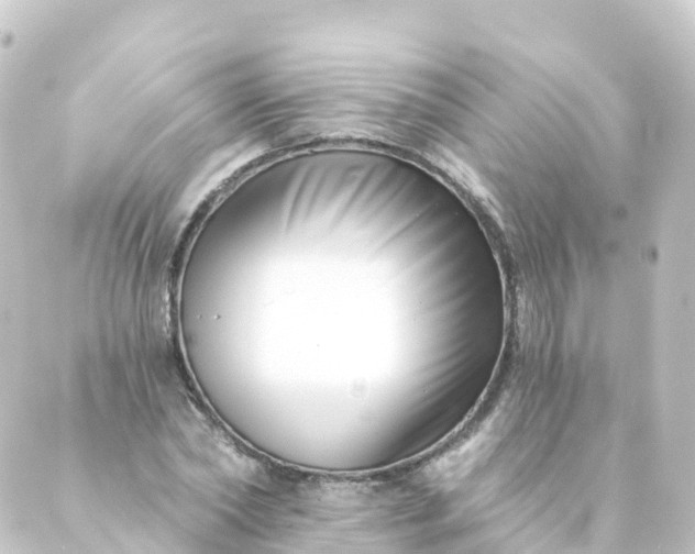 X0000088890782200706221839