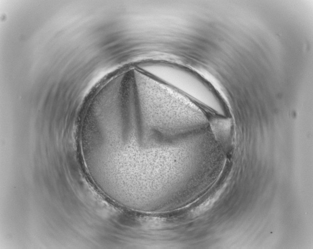 X0000088890783200706221839