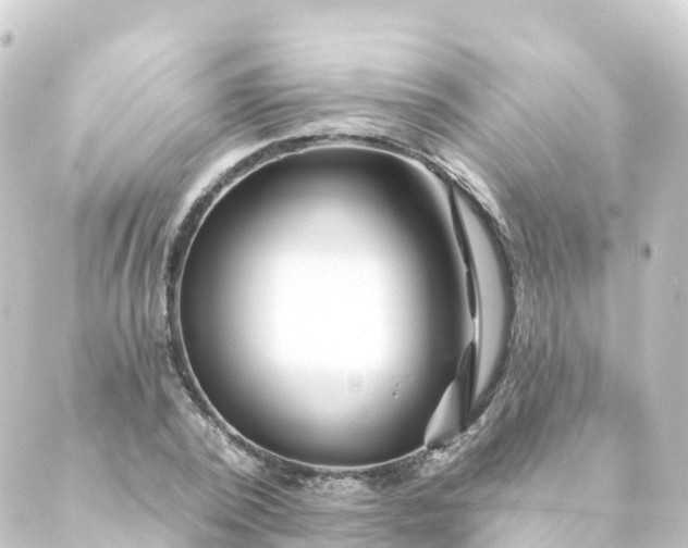 X0000088890784200706221839