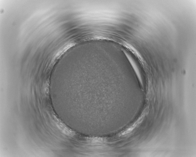 X0000088890785200706221839