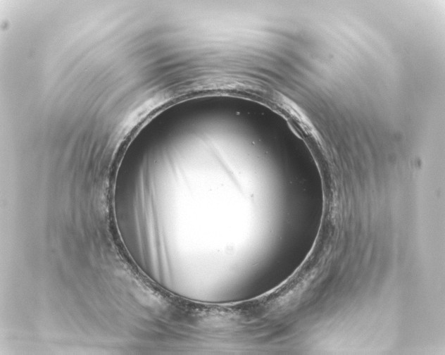 X0000088890786200706221839