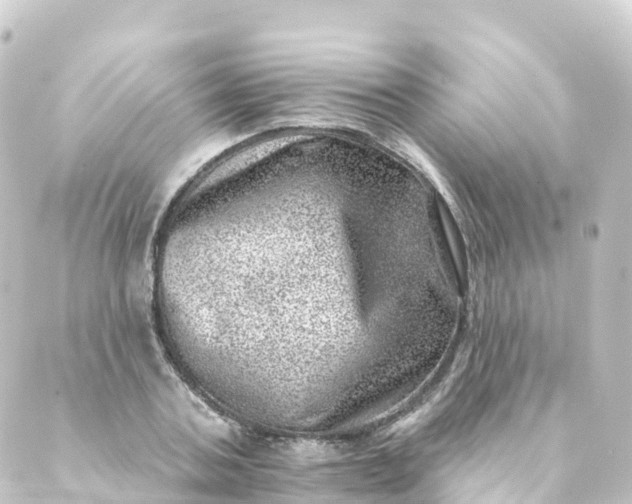 X0000088890787200706221839