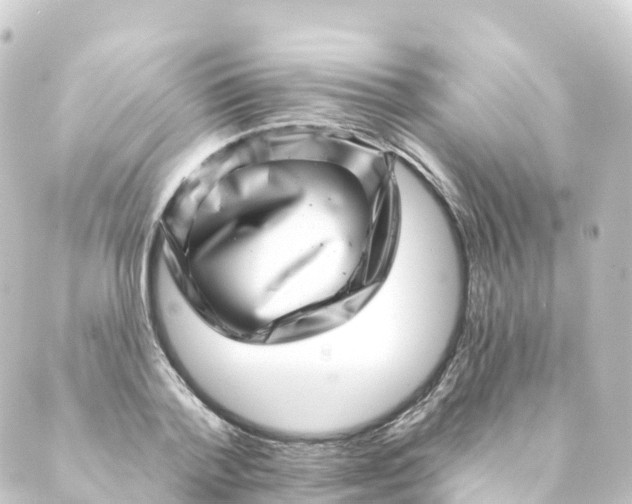 X0000088890788200706221839