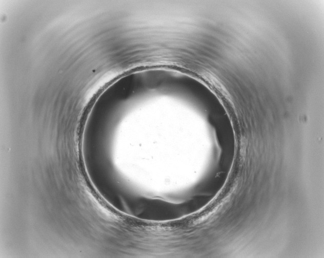 X0000088890789200706221839