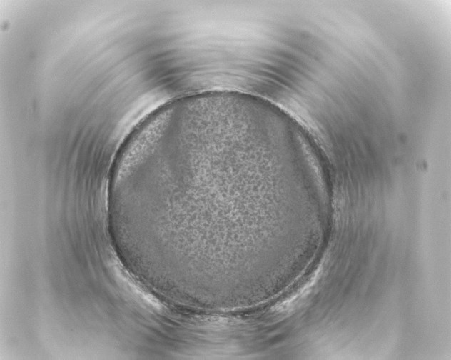 X0000088890790200706221839