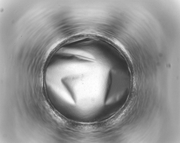 X0000088890791200706221839