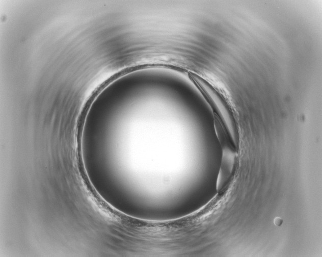 X0000088890792200706221839