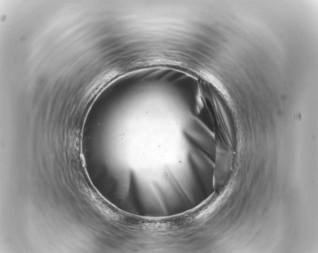 X0000088890793200706221838