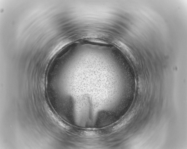 X0000088890794200706221838