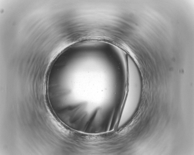 X0000088890795200706221838