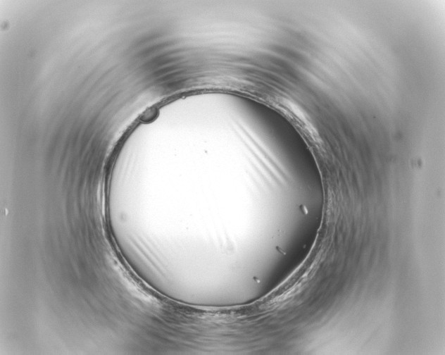 X0000088890796200706221838