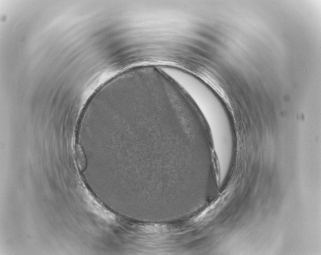 X0000088890797200706221838