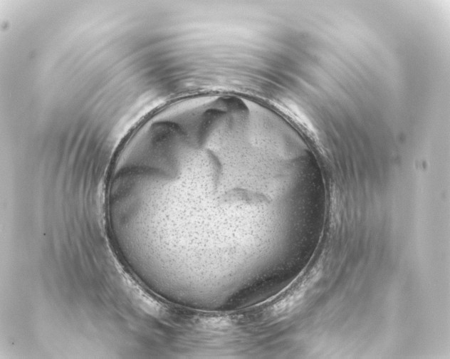 X0000088890798200706221838