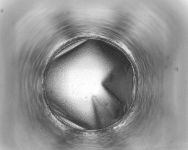 X0000088890799200706221838