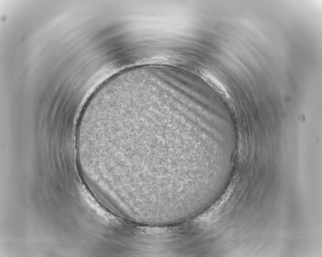 X0000088890800200706221838